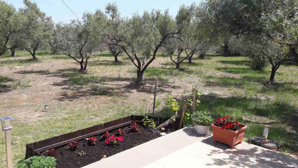 2Sea Villa Nea Potidea Chalkidiki ภายนอก รูปภาพ